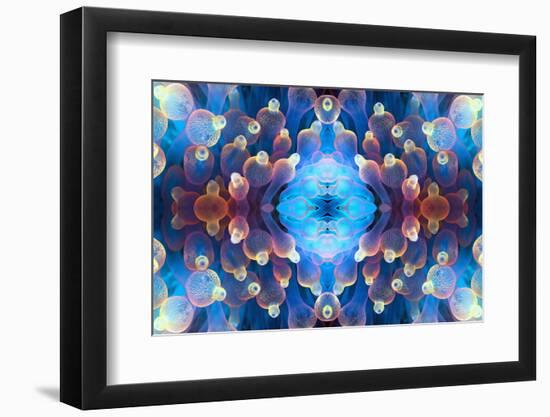 Kaleidoscopic image of Bubble tip anemone, Raja Ampat, West Papua, Indonesia-Georgette Douwma-Framed Photographic Print