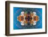 Kaleidoscopic image of Coral reef scenery with gorgonian and Lyretail anthias, Indonesia-Georgette Douwma-Framed Photographic Print