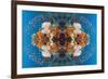 Kaleidoscopic image of Coral reef scenery with gorgonian and Lyretail anthias, Indonesia-Georgette Douwma-Framed Photographic Print