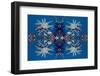 Kaleidoscopic image of Feather stars and Gorgonian wrapper anemone, Indonesia-Georgette Douwma-Framed Photographic Print