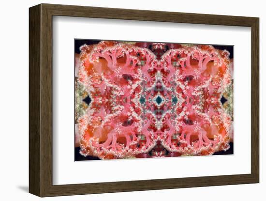 Kaleidoscopic image of Soft coral, Indonesia-Georgette Douwma-Framed Photographic Print