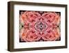 Kaleidoscopic image of Soft coral, Indonesia-Georgette Douwma-Framed Photographic Print