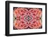 Kaleidoscopic image of Soft coral, Indonesia-Georgette Douwma-Framed Photographic Print