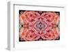 Kaleidoscopic image of Soft coral, Indonesia-Georgette Douwma-Framed Photographic Print