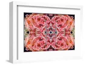 Kaleidoscopic image of Soft coral, Indonesia-Georgette Douwma-Framed Photographic Print