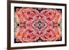 Kaleidoscopic image of Soft coral, Indonesia-Georgette Douwma-Framed Photographic Print