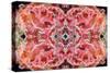 Kaleidoscopic image of Soft coral, Indonesia-Georgette Douwma-Stretched Canvas