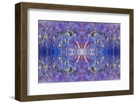 Kaleidoscopic image of Variegated feather duster, Philippines-Georgette Douwma-Framed Photographic Print