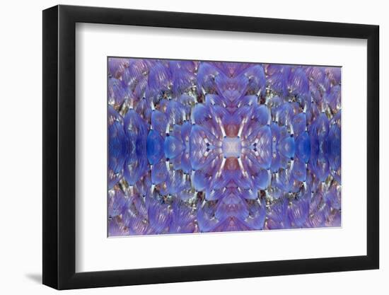 Kaleidoscopic image of Variegated feather duster, Philippines-Georgette Douwma-Framed Photographic Print