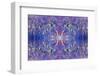 Kaleidoscopic image of Variegated feather duster, Philippines-Georgette Douwma-Framed Photographic Print