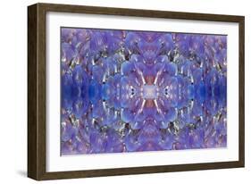 Kaleidoscopic image of Variegated feather duster, Philippines-Georgette Douwma-Framed Photographic Print