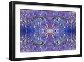 Kaleidoscopic image of Variegated feather duster, Philippines-Georgette Douwma-Framed Photographic Print