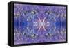 Kaleidoscopic image of Variegated feather duster, Philippines-Georgette Douwma-Framed Stretched Canvas