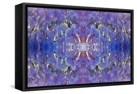 Kaleidoscopic image of Variegated feather duster, Philippines-Georgette Douwma-Framed Stretched Canvas