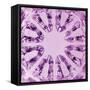 Kaleidoscopic Magenta Texture, Spherical Glass, Vertical Macro Closeup-Kasspri-Framed Stretched Canvas