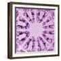 Kaleidoscopic Magenta Texture, Spherical Glass, Vertical Macro Closeup-Kasspri-Framed Photographic Print