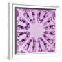 Kaleidoscopic Magenta Texture, Spherical Glass, Vertical Macro Closeup-Kasspri-Framed Photographic Print