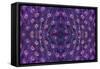 Kaleidoscopic montage of a peacock feather-Georgette Douwma-Framed Stretched Canvas
