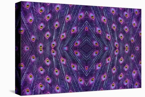 Kaleidoscopic montage of a peacock feather-Georgette Douwma-Stretched Canvas