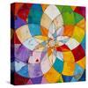 Kaleidoscopic-James Wyper-Stretched Canvas