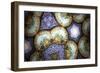 Kaleidoscopic-aLunaBlue-Framed Premium Giclee Print