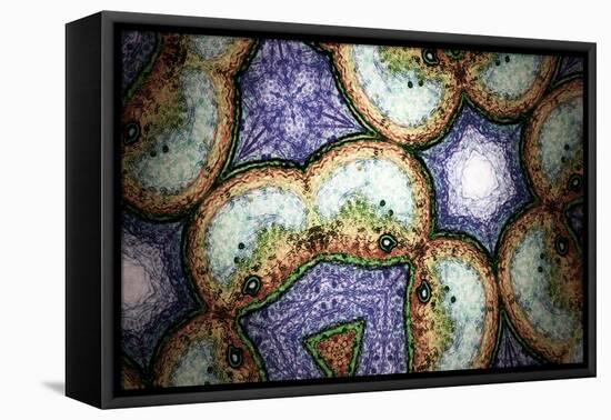 Kaleidoscopic-aLunaBlue-Framed Stretched Canvas