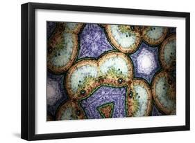 Kaleidoscopic-aLunaBlue-Framed Art Print