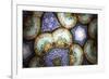 Kaleidoscopic-aLunaBlue-Framed Art Print