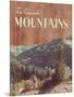 Wood Mount