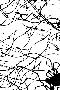 Just the Print