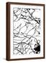 Brown Frame