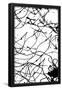 Essential Black