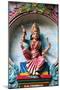 Kaliamman, the same deity as Sri Mariamman, the mother goddess, Mariamman Hindu Temple-Godong-Mounted Photographic Print