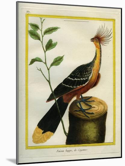 Kalij Pheasant-Georges-Louis Buffon-Mounted Giclee Print