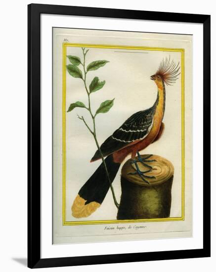 Kalij Pheasant-Georges-Louis Buffon-Framed Giclee Print