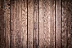 Wood Texture. Background Old Panels-Kalina Vova-Photographic Print