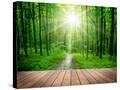 Stretched Canvas