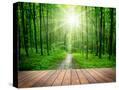 Stretched Canvas