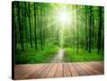 Stretched Canvas