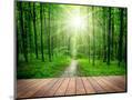 Wood Mount