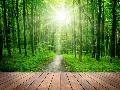 Laminate