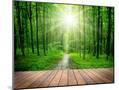 Wood Mount