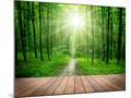 Wood Mount
