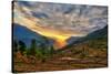 Kalinchok Kathmandu Valley Nepal-Alfred Cats-Stretched Canvas