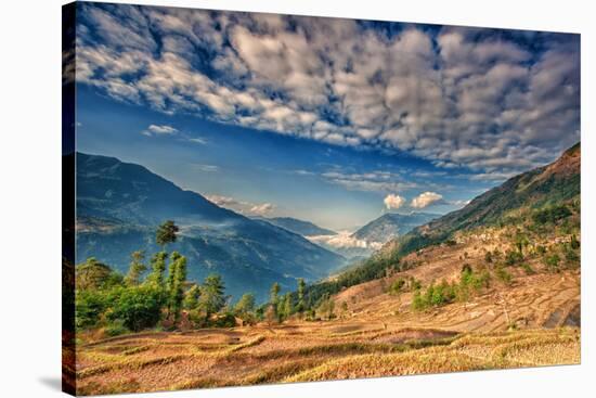 Kalinchok Kathmandu Valley Nepal-Alfred Cats-Stretched Canvas