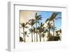 Kaloko-Honokohau Beach Park near Kona, Big Island, Hawaii, USA-Stuart Westmorland-Framed Photographic Print