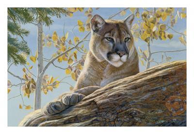 Kalon Baughan Posters & Wall Art Prints | AllPosters.com