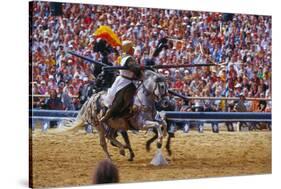 Kaltenberg Knight Tournament, Kaltenberg, Upper Bavaria, Bavaria, Germany-null-Stretched Canvas