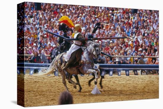 Kaltenberg Knight Tournament, Kaltenberg, Upper Bavaria, Bavaria, Germany-null-Stretched Canvas