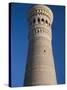 Kalyan Minaret Which Allegedly Awed Genghis Khan-Amar Grover-Stretched Canvas